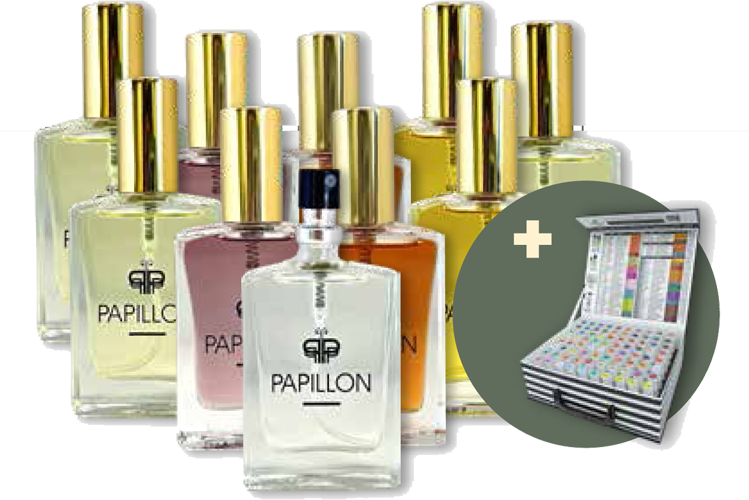 Startup Option 2: Top 10 + Tester Kit — Papillon Perfumes South Africa 30ml