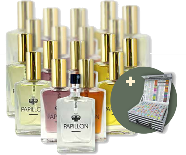 Startup Option 3: Top 20 + Tester Kit — Papillon Perfumes South Africa 30ml