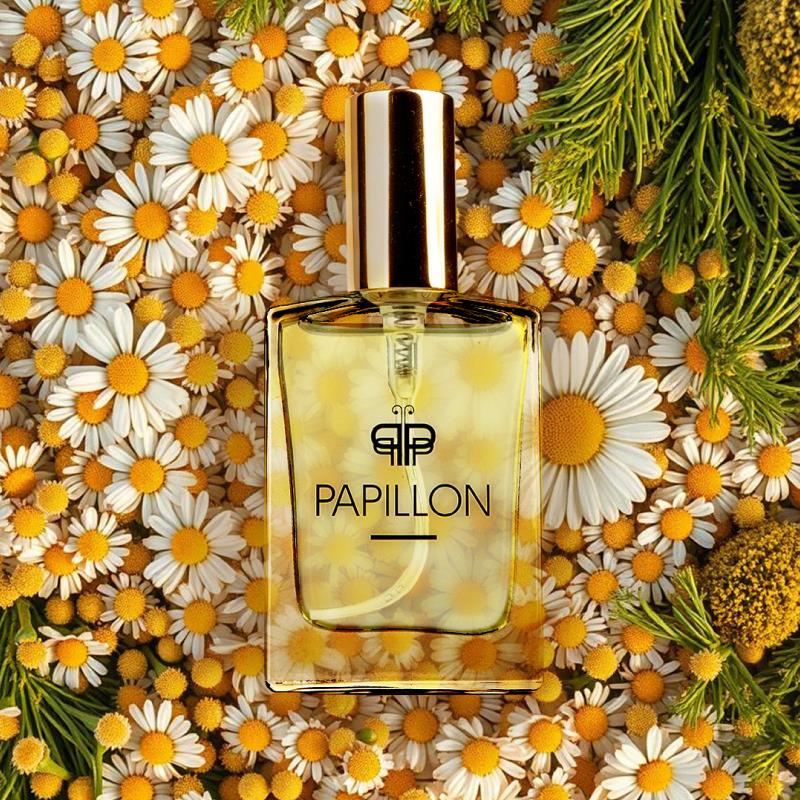 F2 Sugar & Spice inspired by Aromatics (Clinique) — Papillon Perfumes South Africa 30ml