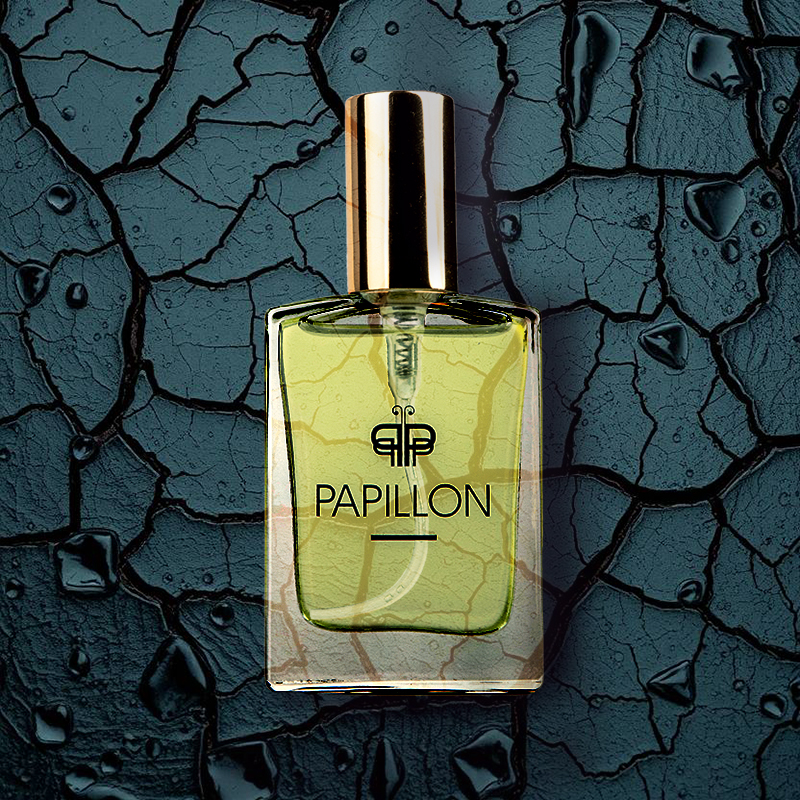 M12 Black Leather inspired by Fahrenheit – Christian Dior — Papillon Perfumes South Africa
